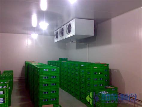 800平方冷库造价多少钱_上海雪艺制冷科技发展有限公司