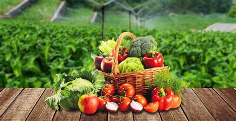 绿色安全食品,蔬菜配送,送菜上门,生鲜配送-广西禾塘生态农业有限公司
