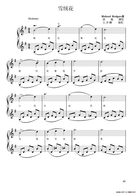 《雪绒花》（小提琴二重奏）_小提琴谱_搜谱网