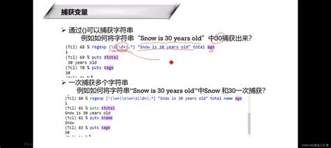 Tcl语言语法精炼总结_tcl中gets-CSDN博客