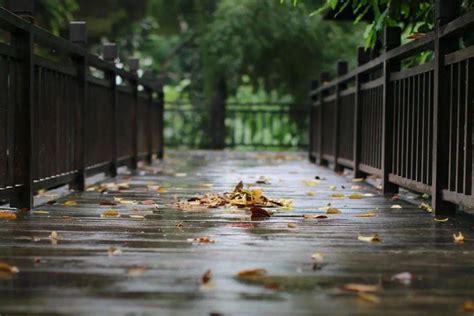 一场秋雨,一场秋雨一场寒图片,秋雨凉_大山谷图库