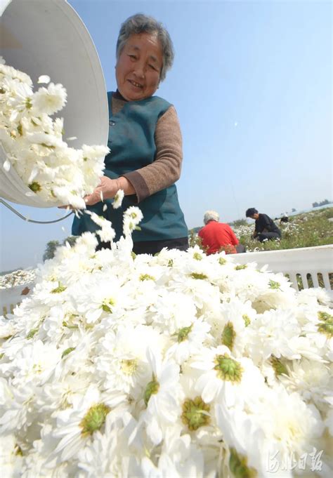 巨鹿县机关党建第三协作组召开联学共建座谈会_澎湃号·政务_澎湃新闻-The Paper