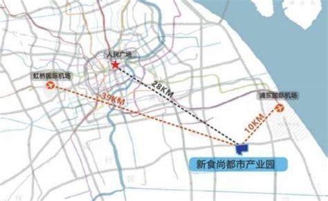 上海市浦东新区宣桥镇南六公路699弄3支弄1145号房产 - 司法拍卖 - 阿里资产