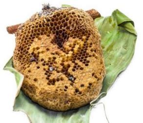 蜂房的作用和用法是什么呢_中华康网