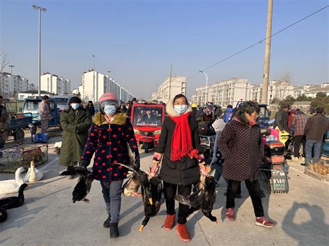 汤头街道办事处_山东省临沂市河东区汤头街道办事处邮编_景点企业医院_村网