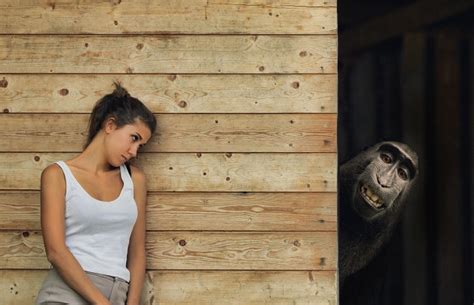 英女子轻声呼唤 分离12年大猩猩从丛林走出相认 - 神秘的地球 科学|自然|地理|探索