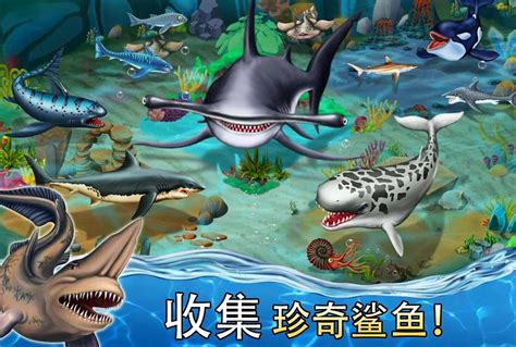 《饥饿鲨世界》游戏与进化有什么区别 两种游戏区别详解_九游手机游戏