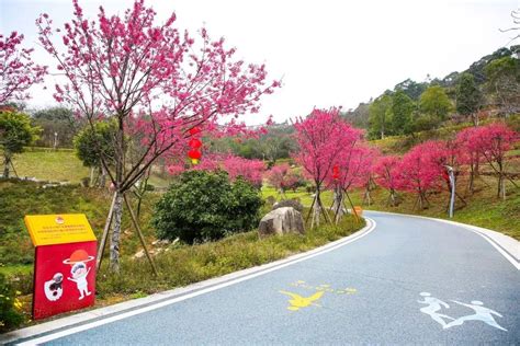 长乐南山生态公园“福道”获市民点赞 - 普通新闻 - 东南网