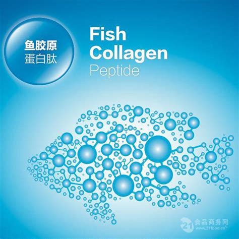 鱼胶原蛋白肽 安徽-食品商务网
