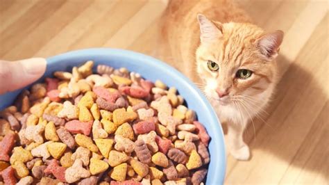 12款美味的猫零食推荐|哪种猫零食猫咪比较喜欢吃_什么值得买