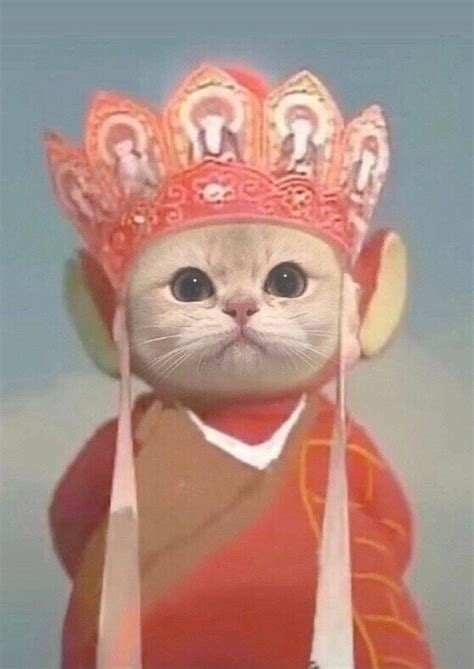 非主流头像唐僧