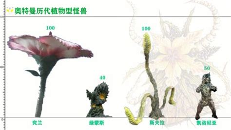 奥特曼历代植物型怪兽身高比例图_动漫_高清完整版视频在线观看_腾讯视频