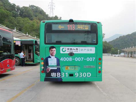 113路公交车 - 深圳市巴士集团113路公交车广告投放公司【有哪些 电话 报价 价格表 收费标准 大概多少钱】