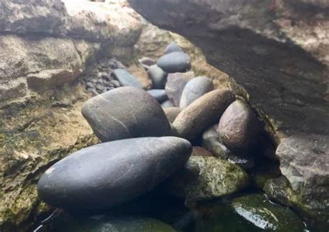 女子河边捡到“透明”石头, 你们知道是什么吗?|女子|托帕石|净度_新浪新闻