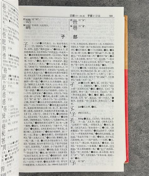 汉语大字典_360百科