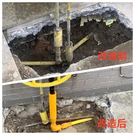 因维人 的图像结果