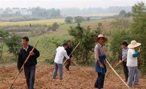 《奋斗40年 奋进新时代》解放和发展农村生产力 农民幸福感稳步提升_农业