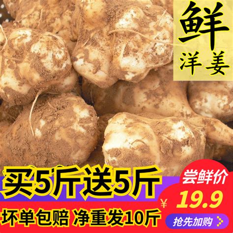 姜芋图片