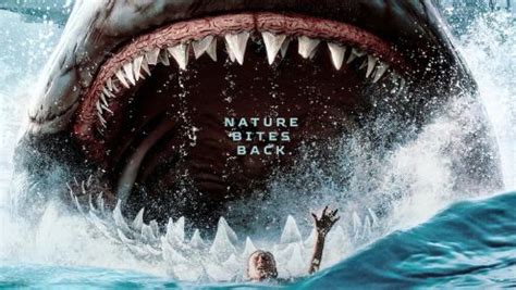 关于鲨鱼的电影有哪些_酷知经验网