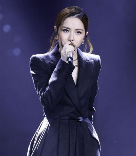 中国内地女歌手排行榜100名(十大获奖最多的女歌手排名)-海诗网