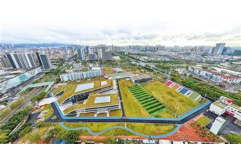 深圳市宝安区新桥小学--新桥小学