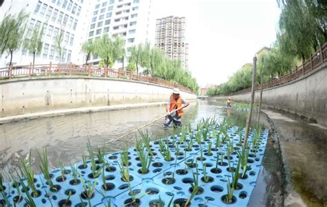 持续深入整治河道水环境|行业动态|上海欧保环境:021-58129802