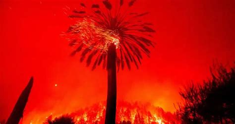 美国大火全面失控，覆盖面积超过368平方公里，烧死一名消防员|美国_新浪新闻