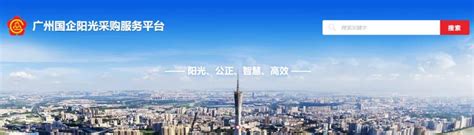 宁波市阳光采购服务平台-网上投标系统
