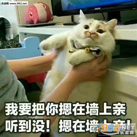 我要把你日得嗷嗷叫图片 我要把你日得嗷嗷叫图片