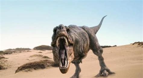 美国发现了一只活恐龙是真的吗-美国侏罗纪公园真有活恐龙吗-趣丁网