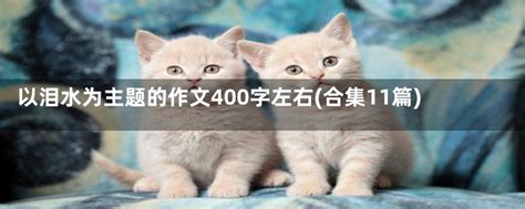 以泪水为主题的作文400字左右(合集11篇)