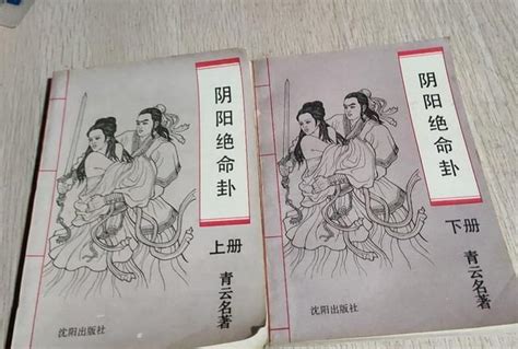 2本假冒陈青云的武侠小说，男主都娶了2个老婆，享尽齐人之福