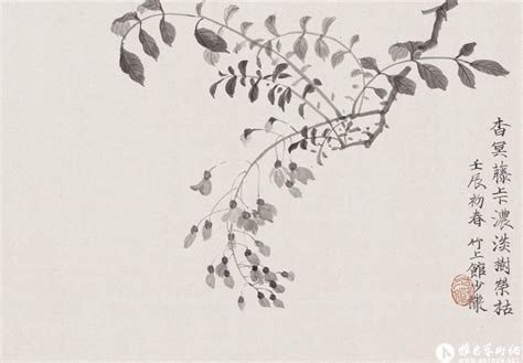 非主流赵少头像