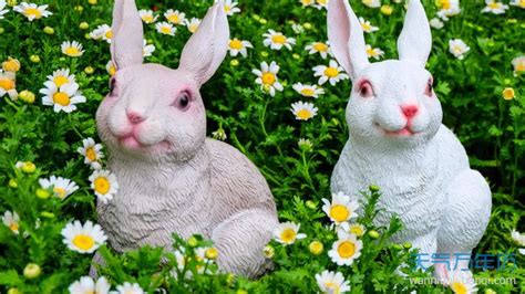 生肖属兔的人和什么属相最配 属兔的属相婚配表大全 _万年历