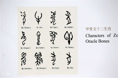 汉字是怎样形成的 甲骨文到现今汉字的演化过程_行业商讯_社区_115，一生相伴