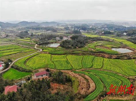 桃源县地图图片