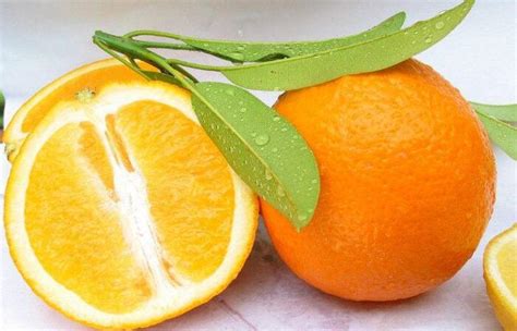 橙子的功效与作用，原来橙子皮好处那么多 — 水果百科吧