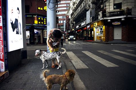 城市街头遛狗的女人高清图片下载-正版图片500470554-摄图网