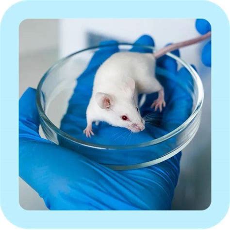 溶瘤腺病毒通过调节4T1原位小鼠模型中的肿瘤微环境协同增强抗PD-L1和抗CTLA-4免疫治疗 – 杭州荣谷生物科技有限公司