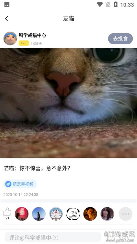 友猫app下载-友猫社区下载v2.9.37 安卓版-绿色资源网