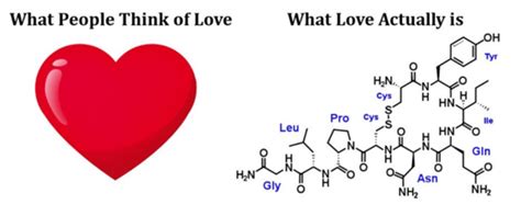 生物学中“爱”是如何发生反应的？