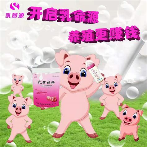 技术 - 中国养猪网-中国养猪行业门户网站
