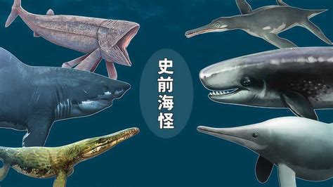 十大海洋霸主史前排名，巨齿鲨最为强悍，邓氏鱼仅排第三_排行榜123网