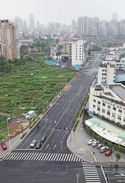 市区双龙路改建工程二期建成试通车-温州网政务频道-温州网