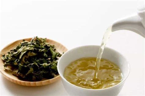 蛋白桑：养生小知识：长期喝桑叶茶对人有什么好处？桑叶茶的功效及做法！_凤凰网健康_凤凰网