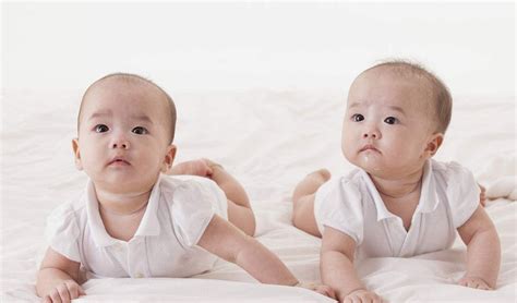 容易生双胞胎的基因是什么 什么人容易生双胞胎 _八宝网