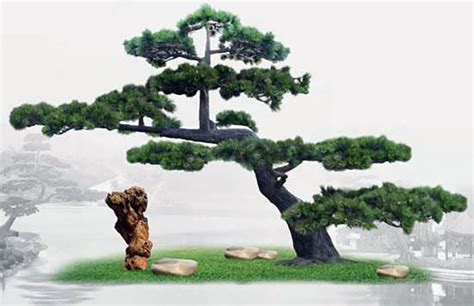 松树的寓意和象征是什么 松树的象征意义？_知秀网