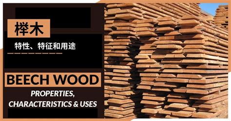 各种榉木木方，规格料，扁条，长短料 - 批木网