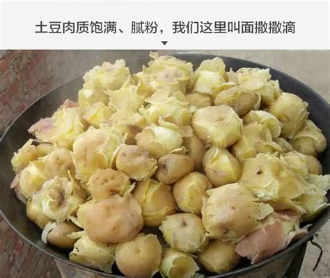 土豆批发甘肃定西特产新鲜土豆农家自种黄心土豆洋芋包邮肃客土豆-阿里巴巴