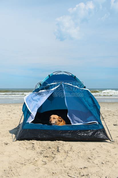 放松与狗一起在海滩避难所中单人帐篷特谢林配件高清图片下载-正版图片307718262-摄图网